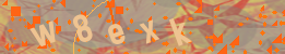 Visual Confirmation Code