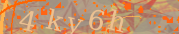 Visual Confirmation Code