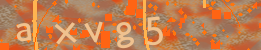 Visual Confirmation Code