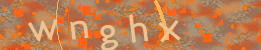 Visual Confirmation Code