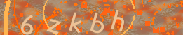 Visual Confirmation Code