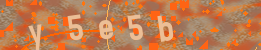 Visual Confirmation Code