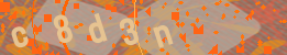 Visual Confirmation Code