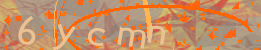 Visual Confirmation Code